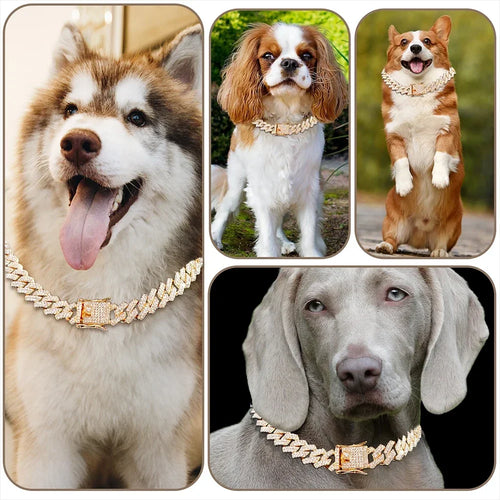 Swagster Cuban Chain
